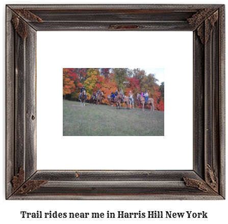 trail rides near me in Harris Hill, New York